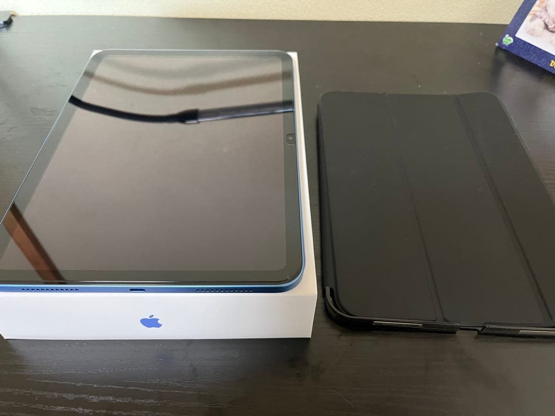 Apple iPad (ミッドナイトグリーン) 本体