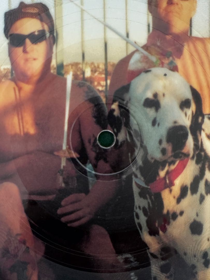 SUBLIME レコード　picture disc 盤美品