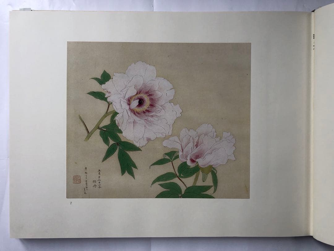 『傳神譜』中村岳陵　写生画集 4冊揃281点　四季の植物　風景　古美術　大型本