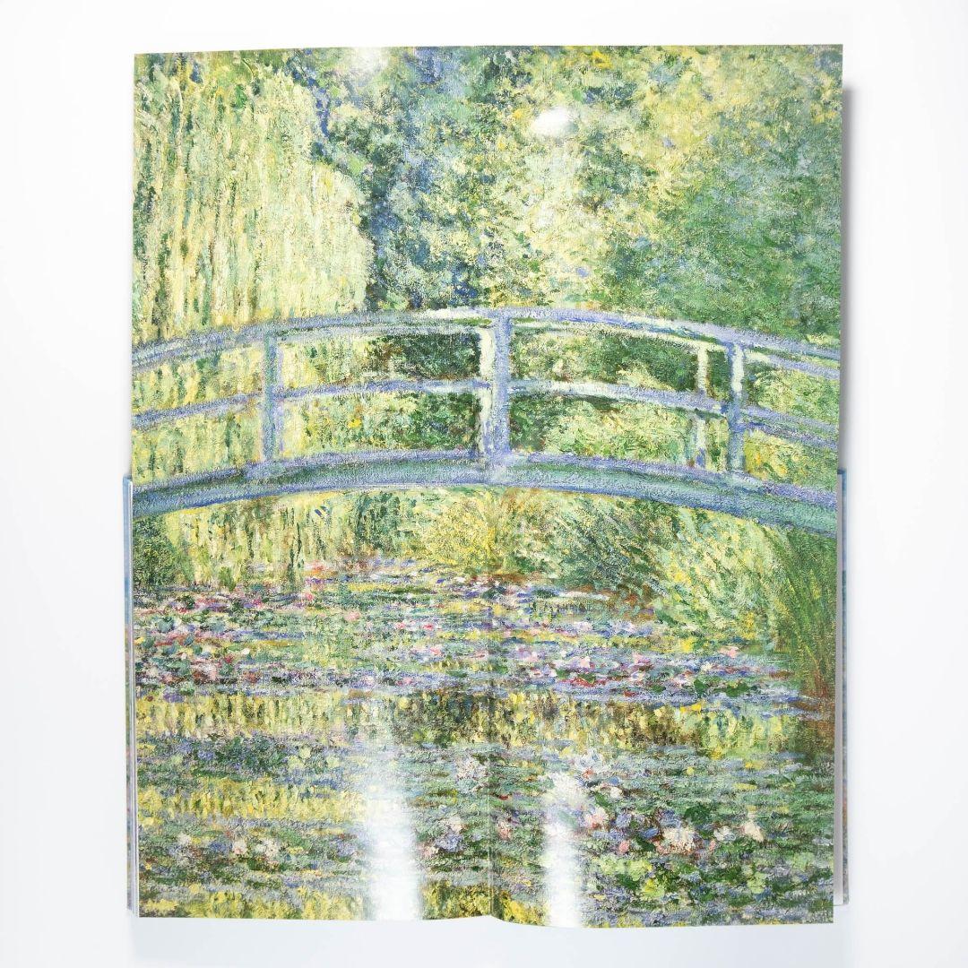 【ほぼ新品】Monet: The Bigger Picture