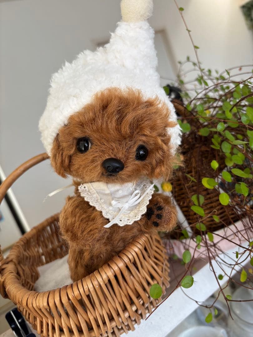テディプードル　テディわんこ　トイプードル ぬいぐるみ　マルプー