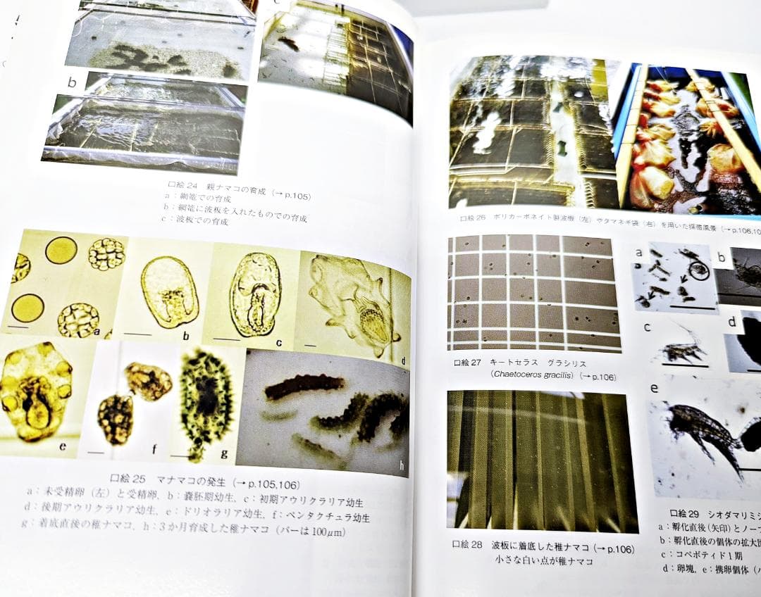 【初版・絶版】 ナマコ学 生物・産業・文化