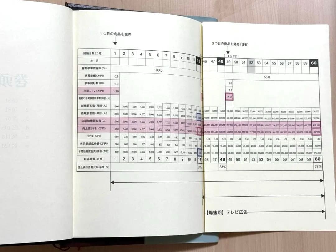 【即日発送・資料付き】5年で100億を超える 100億マニュアル