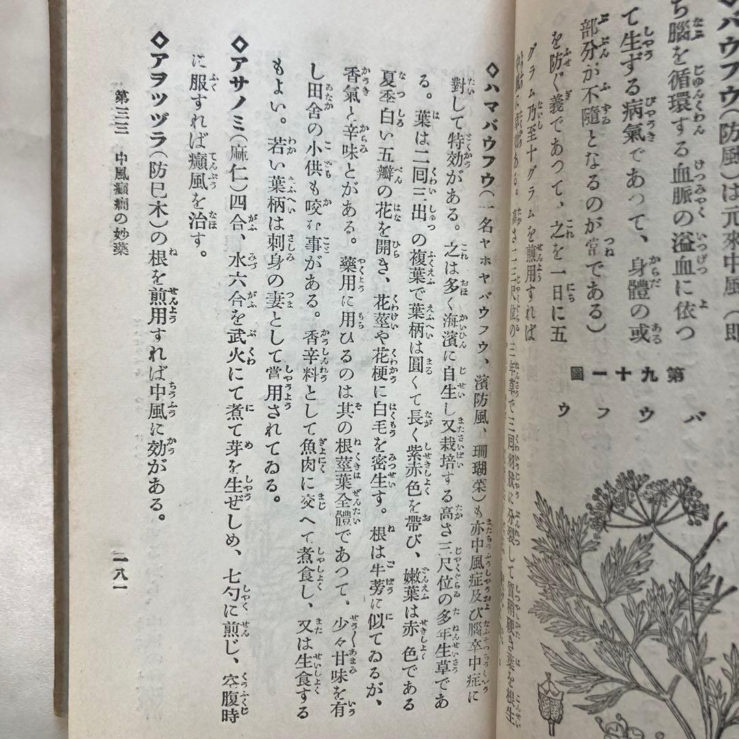 古書 不思議によく利く 薬草薬木速治療法 松島種美著 初版 大正14年 激レア