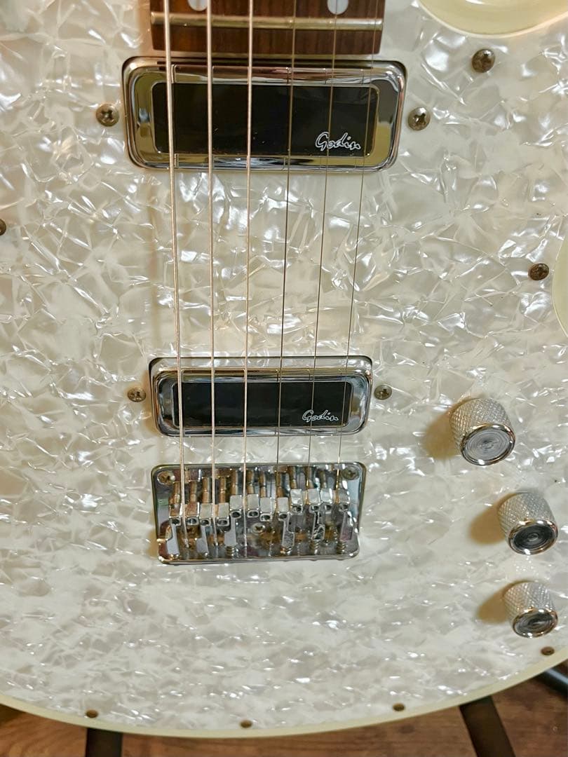 ゆ*ー様 Godin Radiator