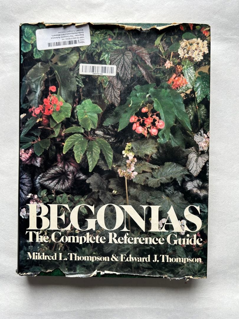 洋書 Begonias: The complete reference guide