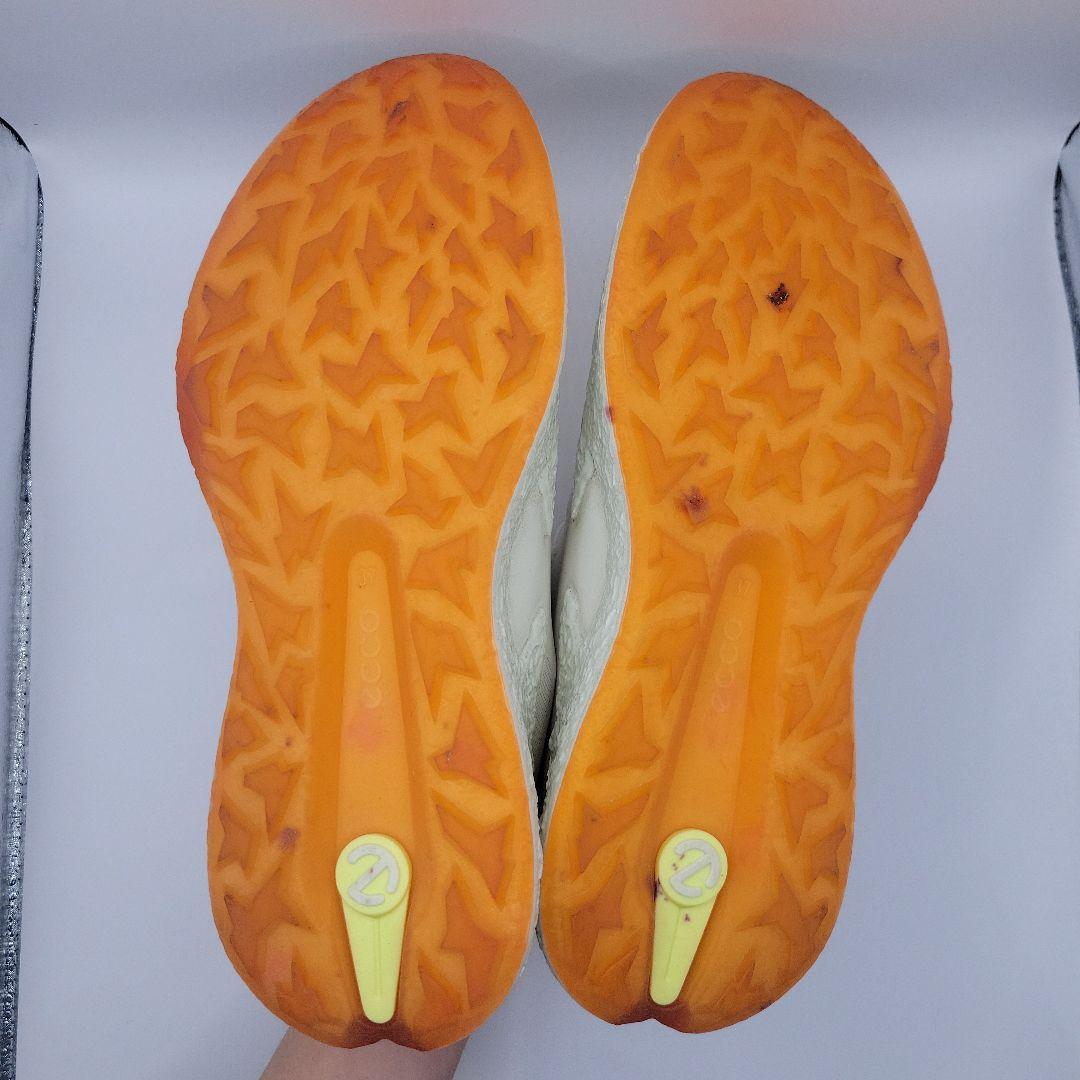 eccoエコーBIOM H5 BOA23.5