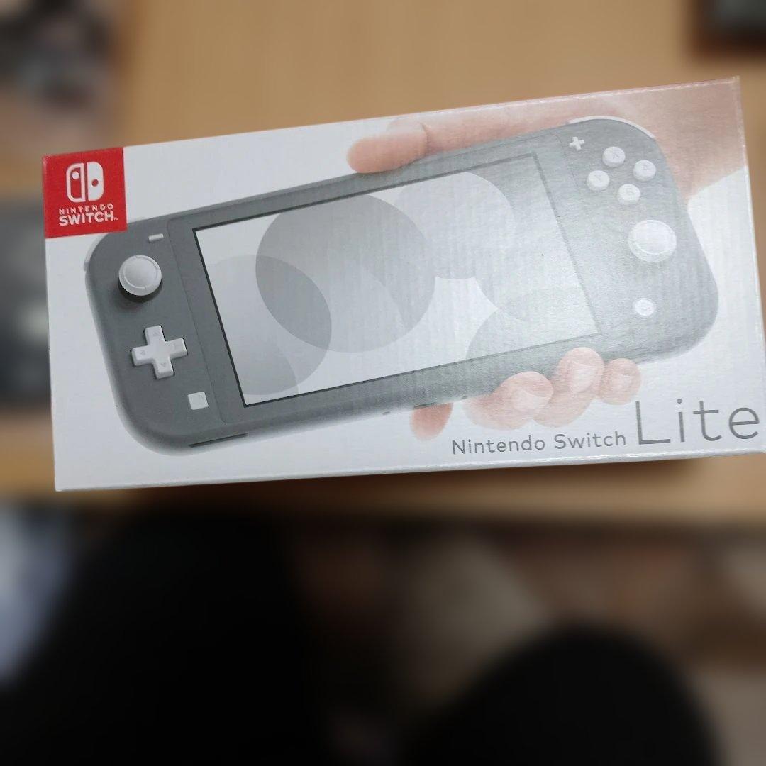 Nintendo Switch Lite 本体 充電器付き（ジャンク品）