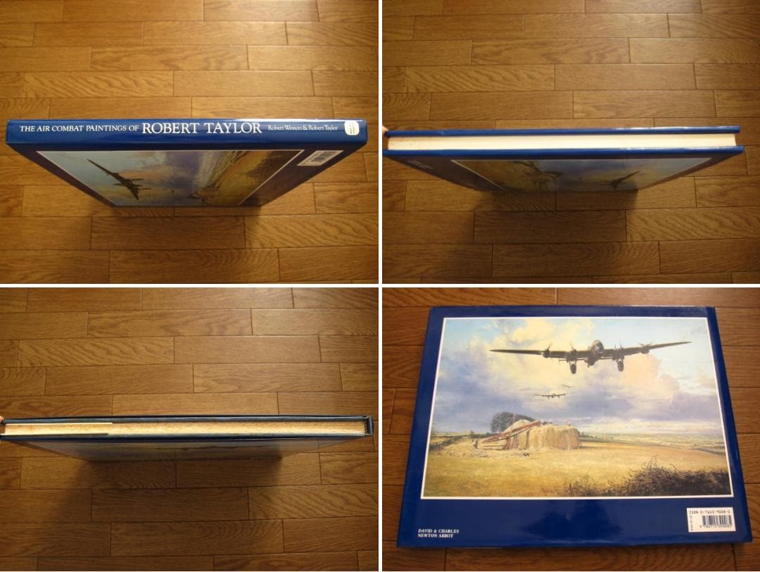 アート・デザイン・音楽 AIR COMBAT PAINTINGS OF ROBERT TAYLOR