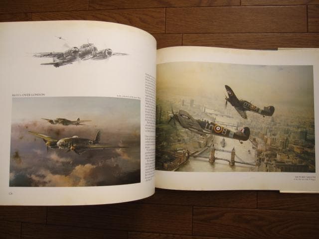 アート・デザイン・音楽 AIR COMBAT PAINTINGS OF ROBERT TAYLOR