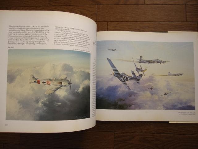 アート・デザイン・音楽 AIR COMBAT PAINTINGS OF ROBERT TAYLOR