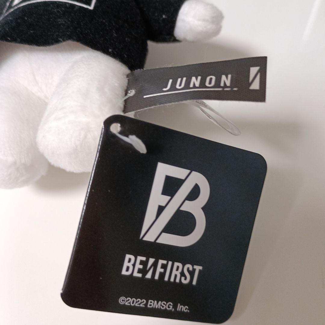 BE:FIRST JUNON クマぬいぐるみ