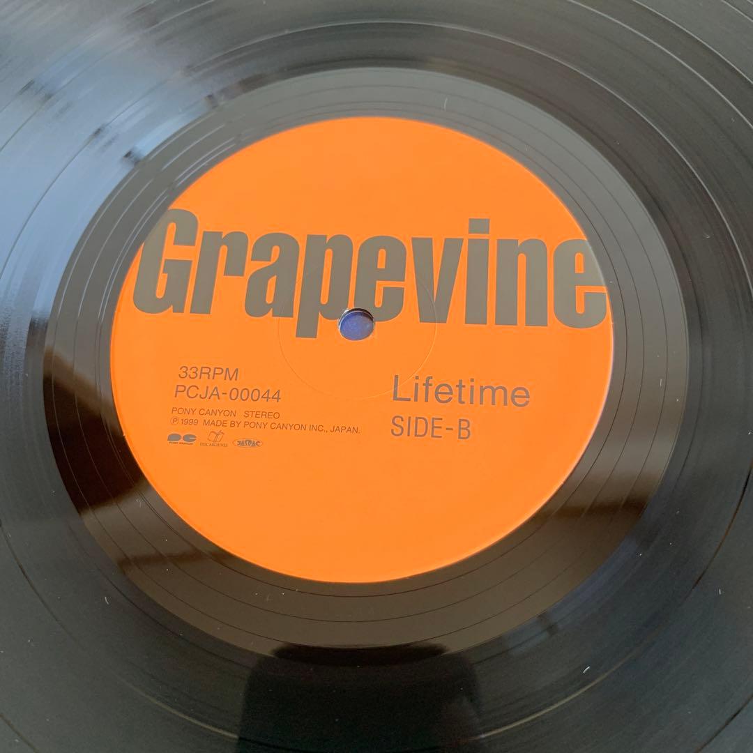GRAPEVINE/LIFETIME LPレコード