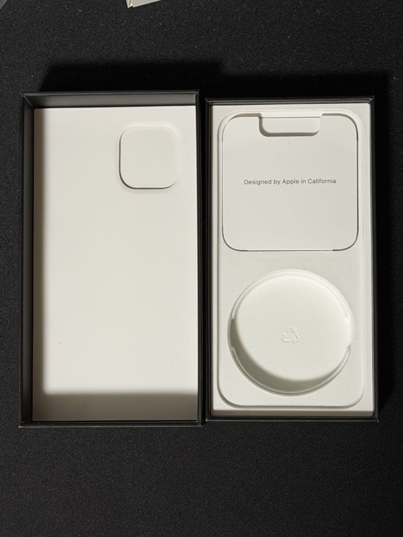 極美品 iPhone 12Pro パシフィックブルー 256GB