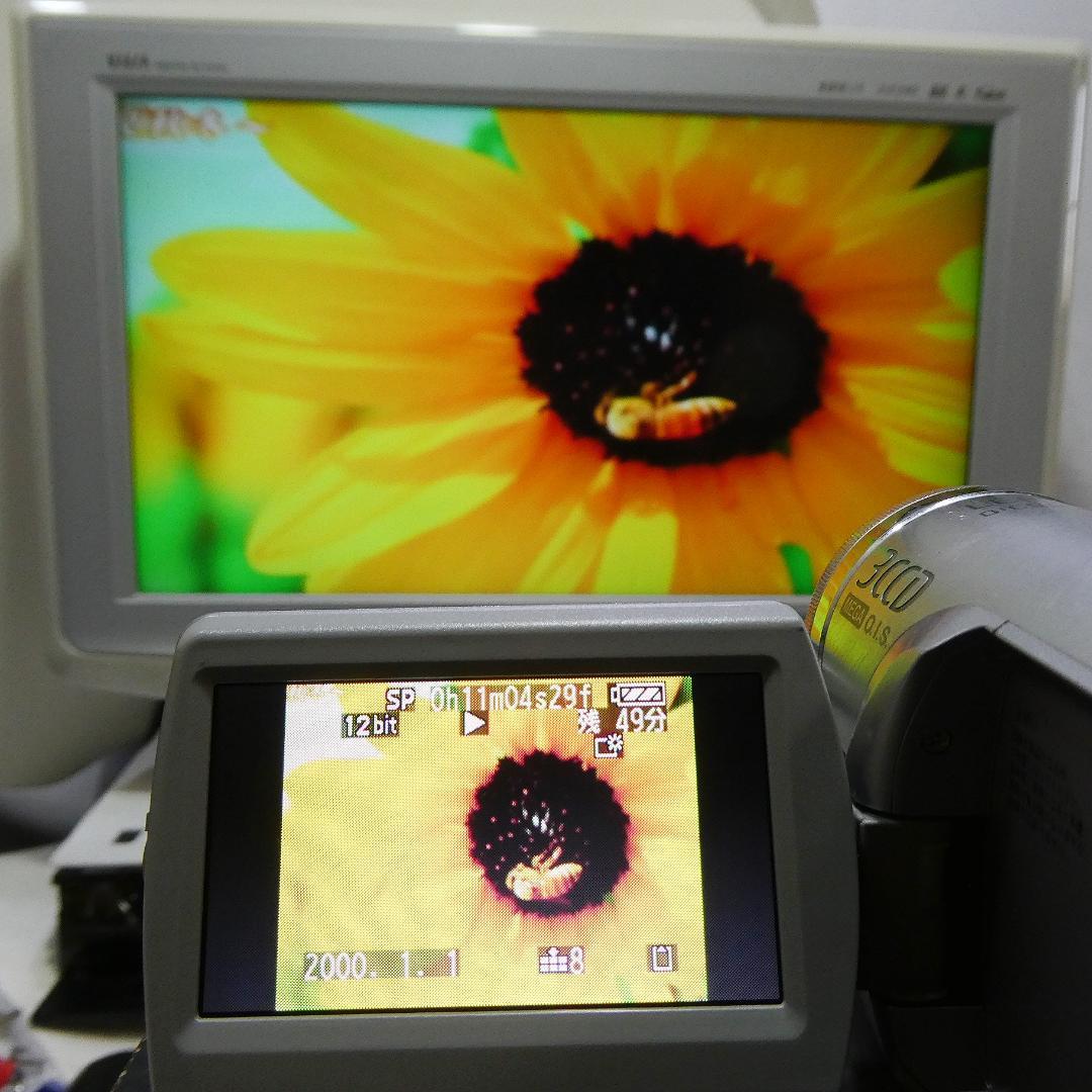 パナソニックNV-GS300【動作良好』MiniDVビデオカメラダビングに最適