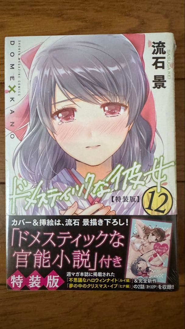 ドメスティックな彼女　特装版