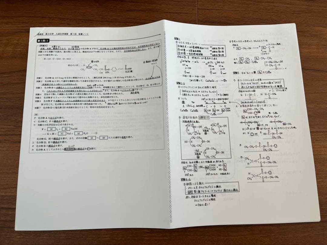 鉄緑会　高3 化学　上位クラス　寺田先生授業冊子•テキスト　一年分フルセット
