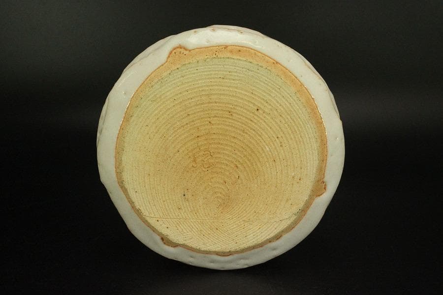 茶道具 志野 水指 健峰作 共箱 未使用(LC846)