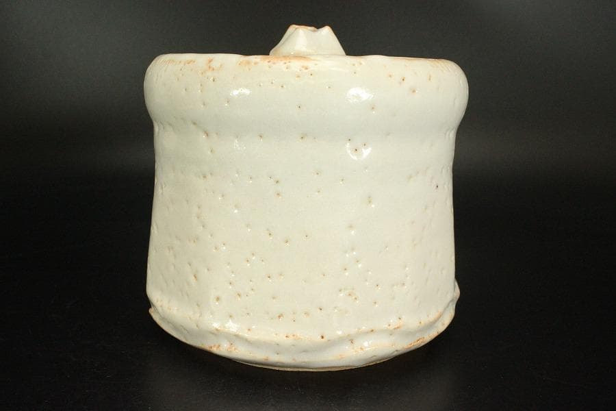 茶道具 志野 水指 健峰作 共箱 未使用(LC846)
