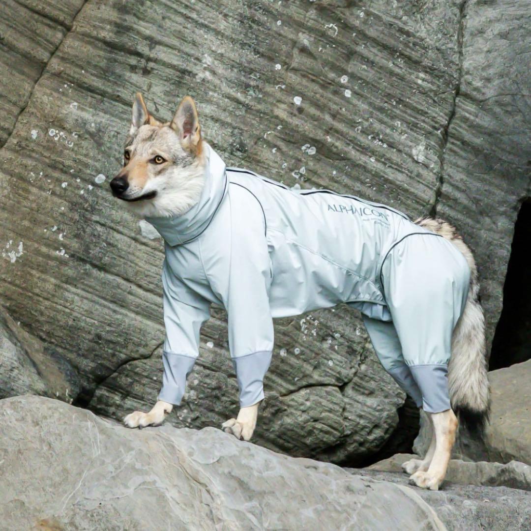 RAIN DOG GUARD　レインドッグガード　HAZE サイズ:L
