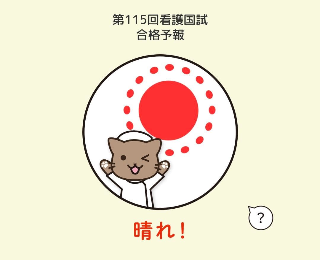 116回生おすすめ！看護試験対策本セット 2026年