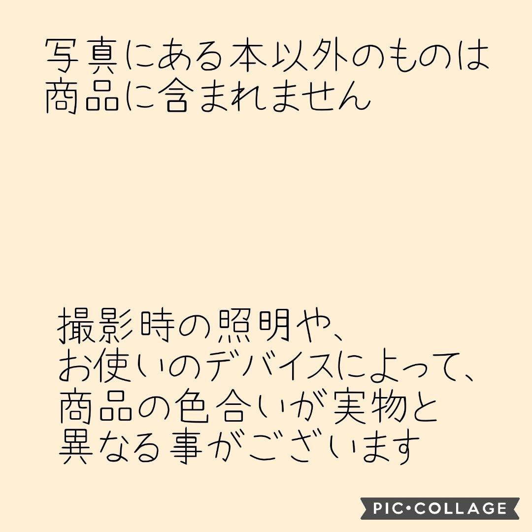 【レア　希少本】MR.SLOWBOY イラスト集