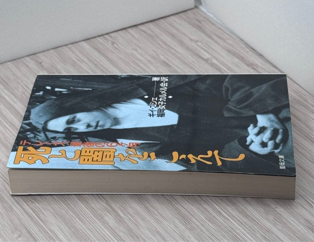 MEL 聖母文庫｜死と闇を越えて :テレーズ最後の6ヶ月