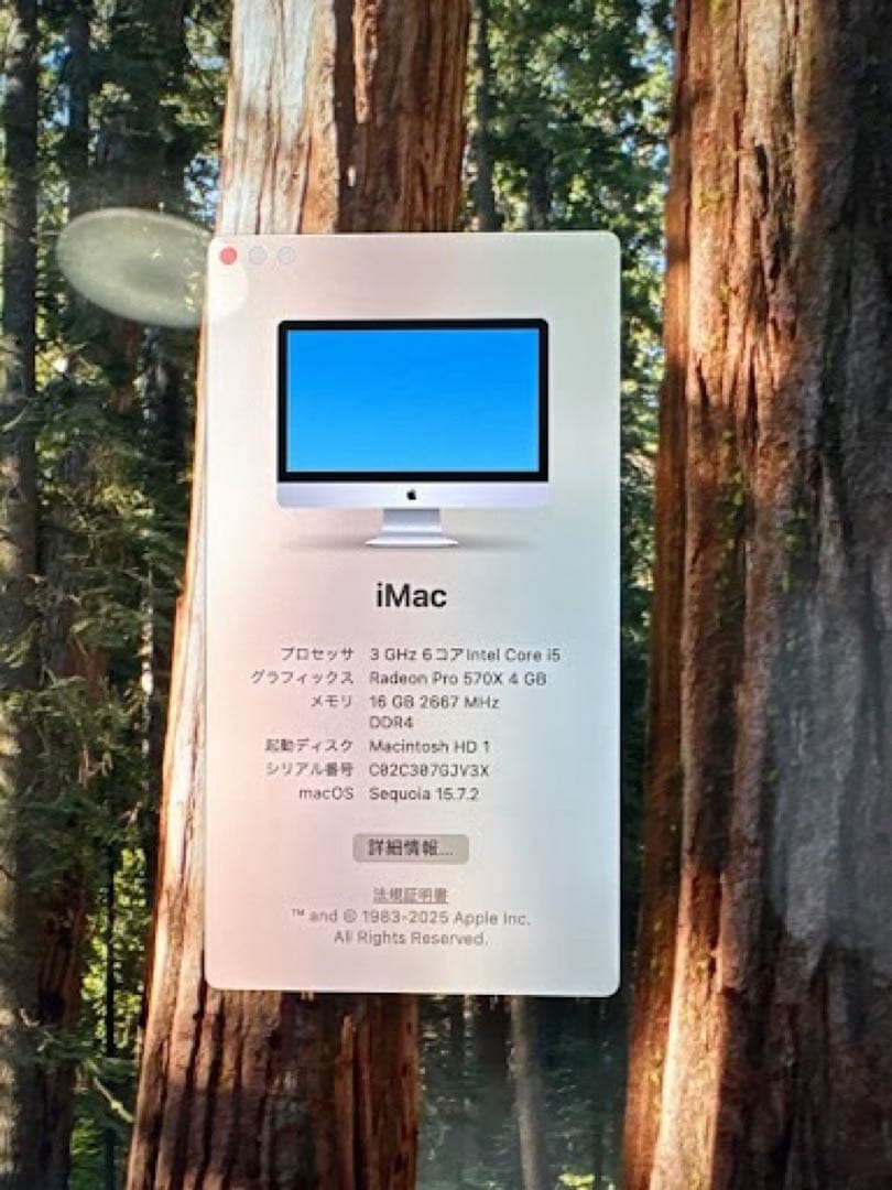 iMac 27インチ Retina 5K 2019 / メモリ16GB /1TB