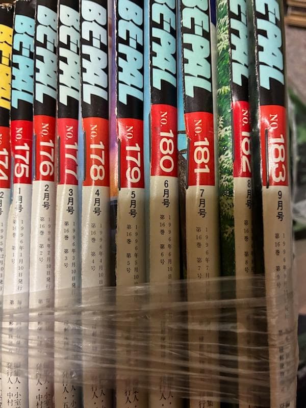 BE-PAL　ビーパル バックナンバー　1989.10～2006.1　ばら売り可