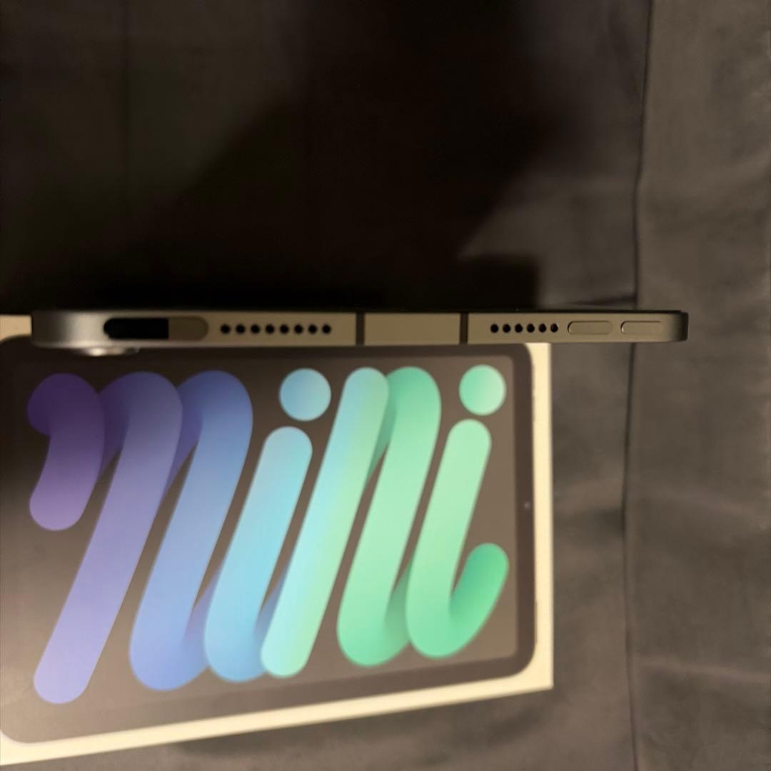 king専用⭐︎iPad mini 6 256G セルラー