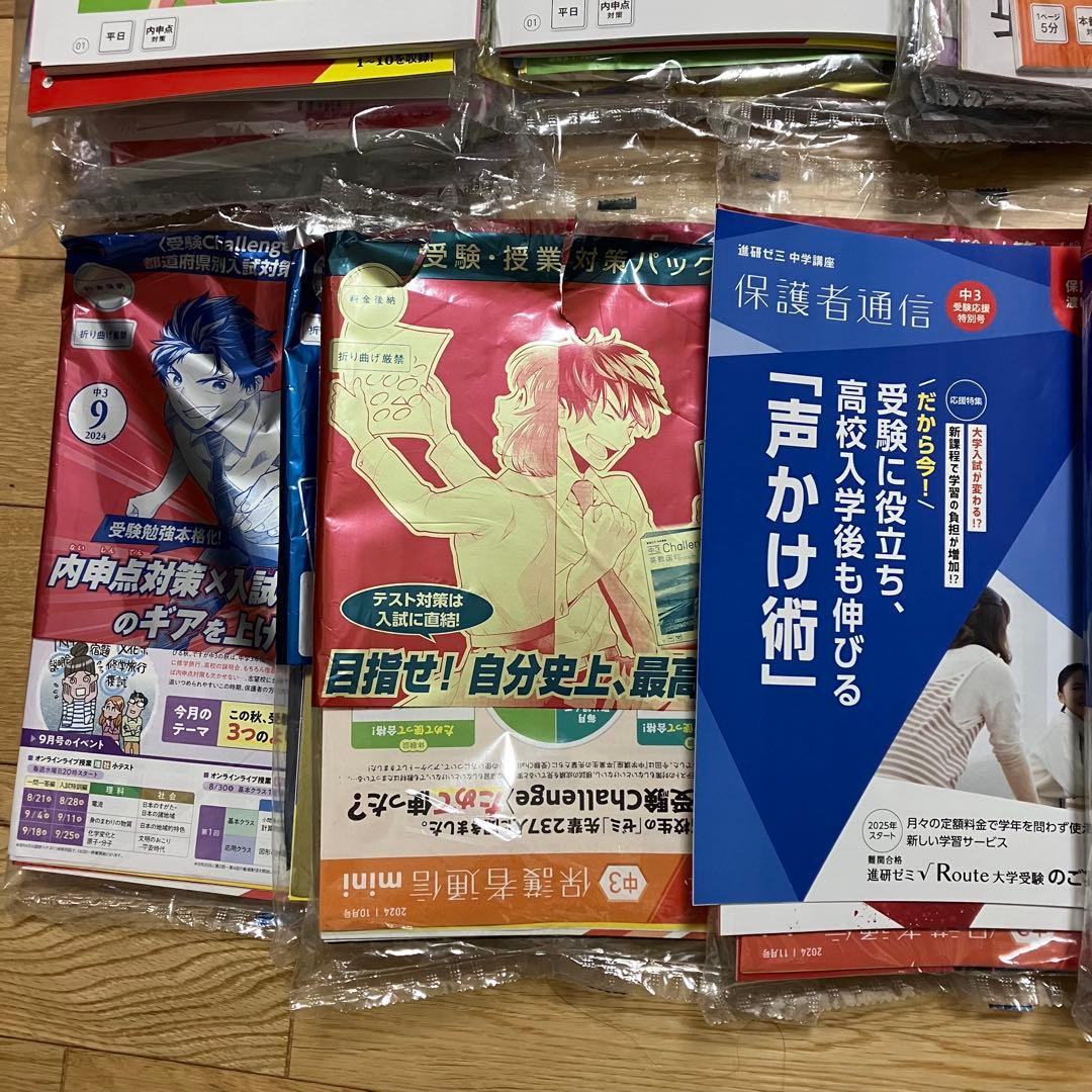 チャレンジ中学3年生 10ヶ月分セット