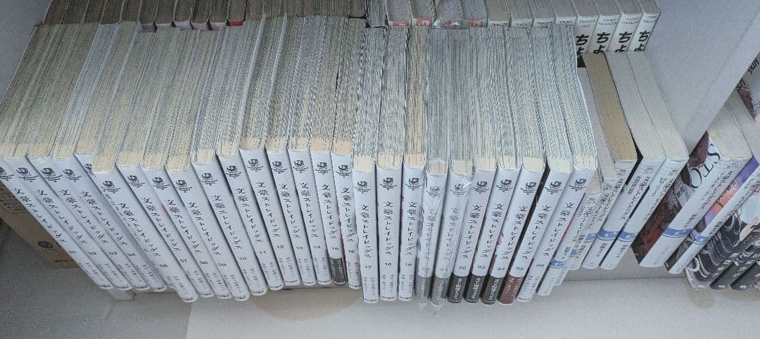 文豪ストレイドッグス 1〜26巻+小説7冊