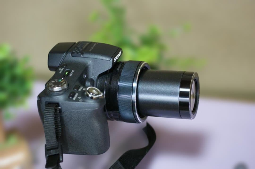 SONY　HX100V　絶好調　撮影簡単