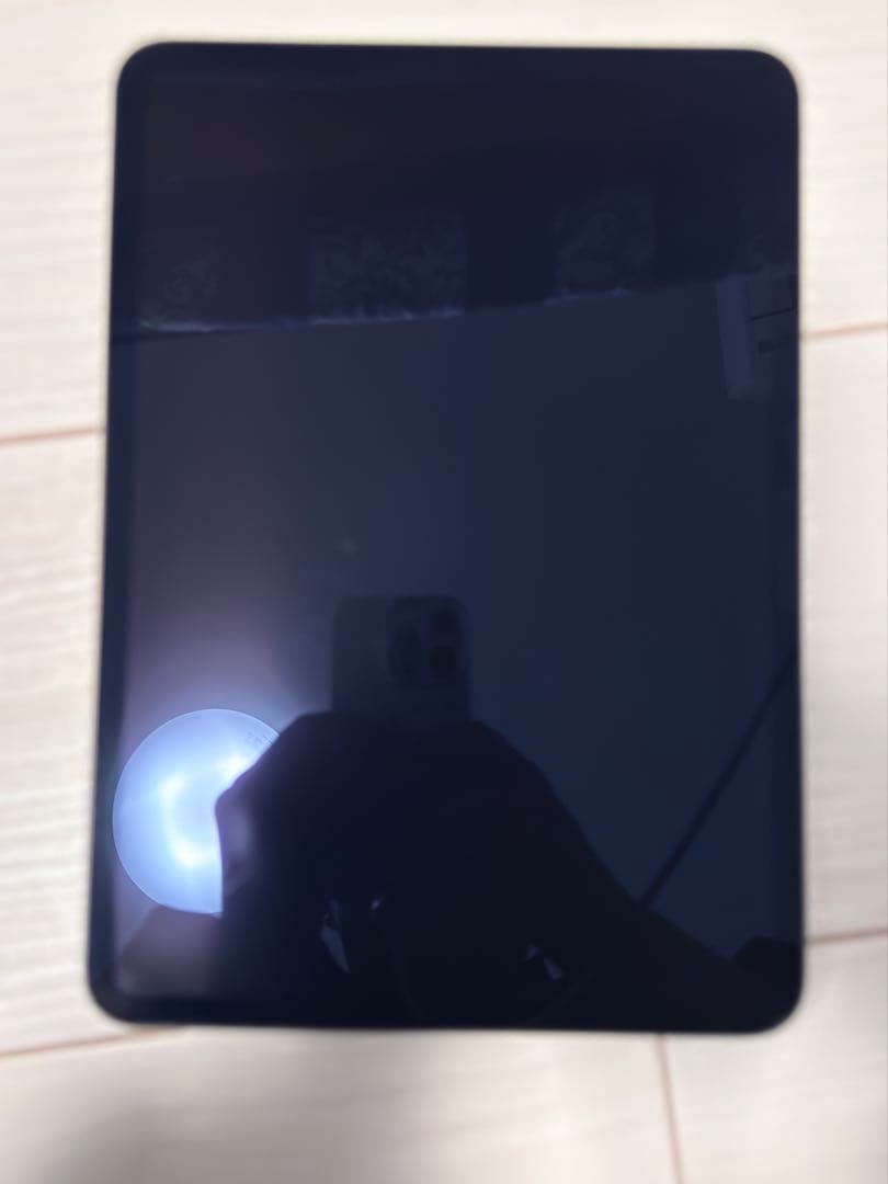 Apple iPad Pro m4 (11インチ)大容量512g