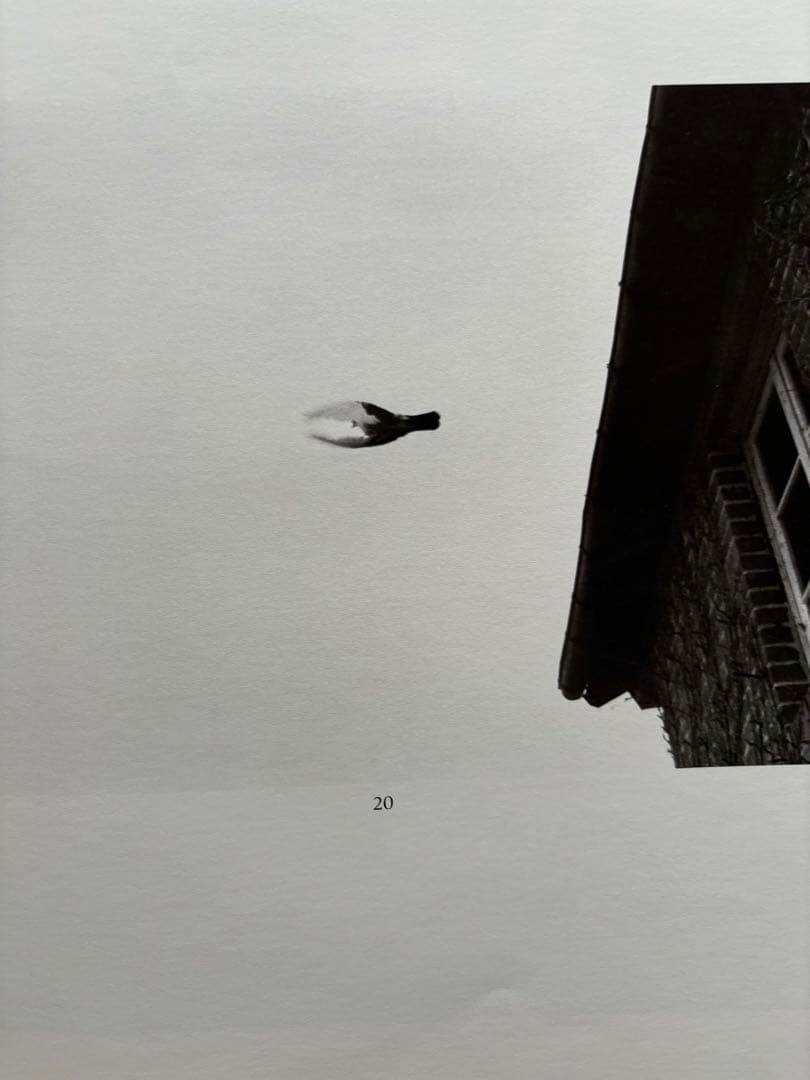 Lartigue: Photographs 1970-1982 ラルティーグ