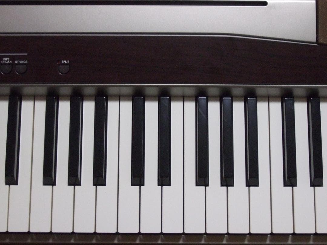 CASIO Privia PX-100 電子ピアノ 88鍵 【送料込み】