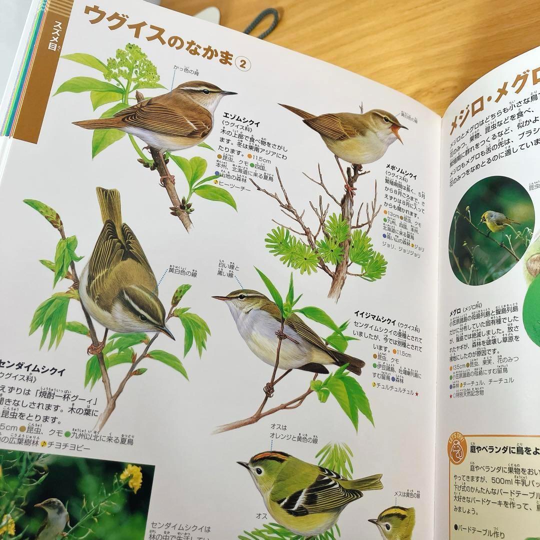小学館の図鑑NEO・学研の図鑑など 豪華12冊セット まとめ売り