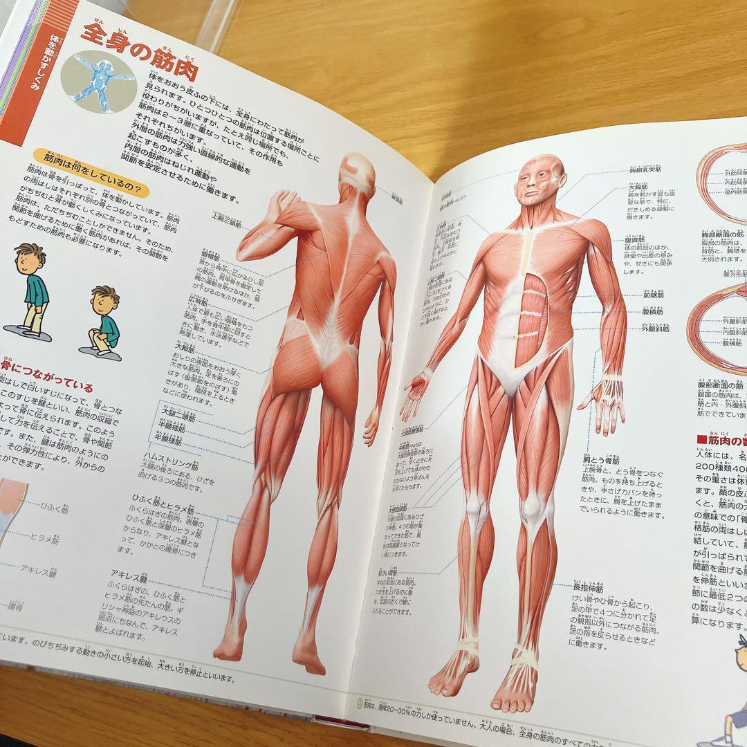 小学館の図鑑NEO・学研の図鑑など 豪華12冊セット まとめ売り