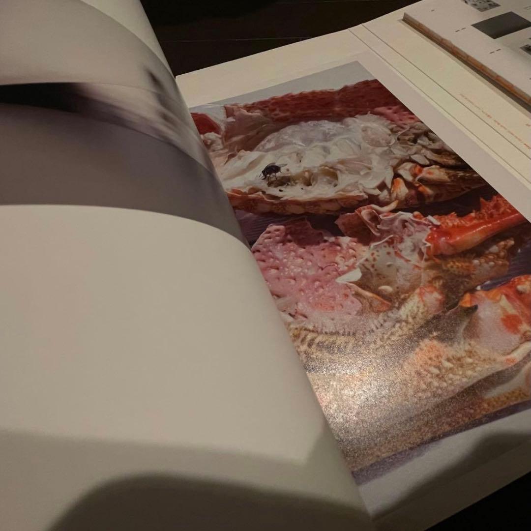 Wolfgang Tillmans 図録 国立国際美術館 ティルマンス