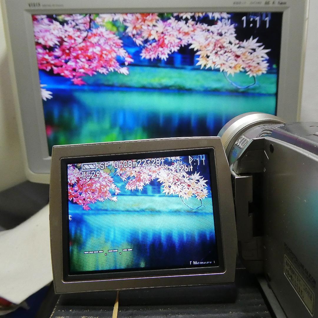 動作良好 パナソニックNV-MX2000 MiniDVビデオカメラDVD化に最適
