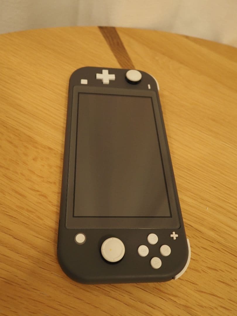 Nintendo Switch Lite グレー 本体 充電器 ケース