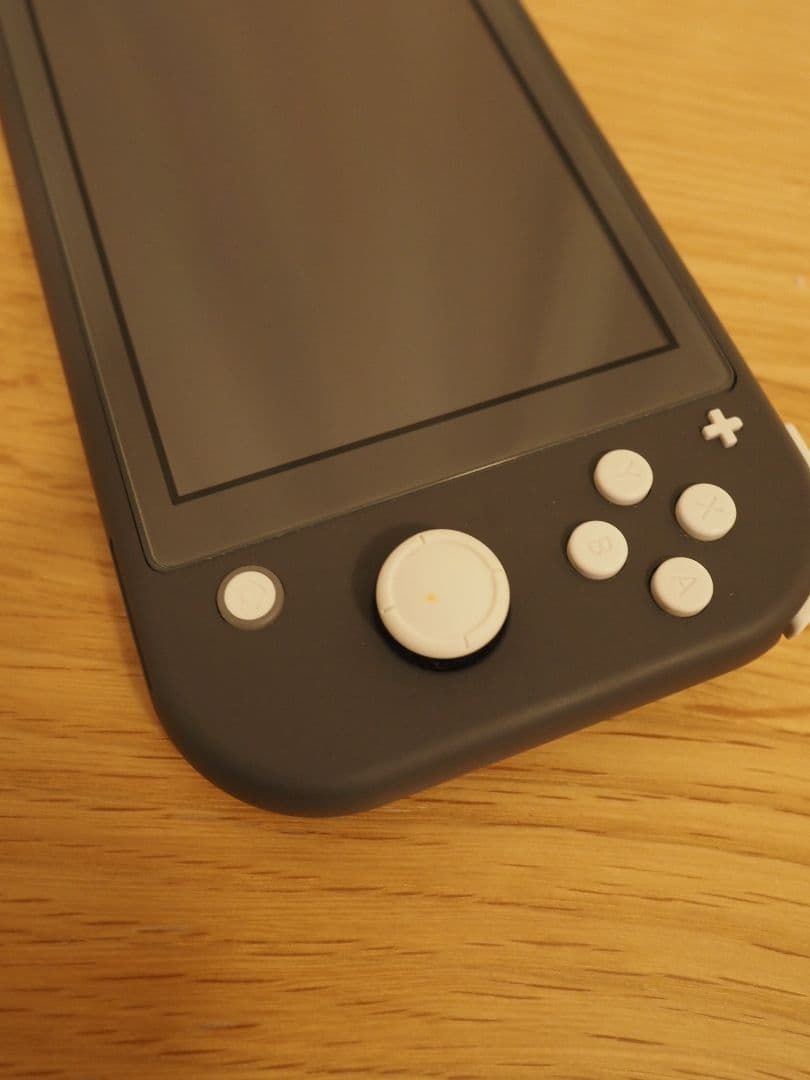 Nintendo Switch Lite グレー 本体 充電器 ケース