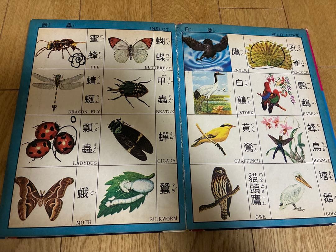 図解辞典 子供向け 絵本　外国