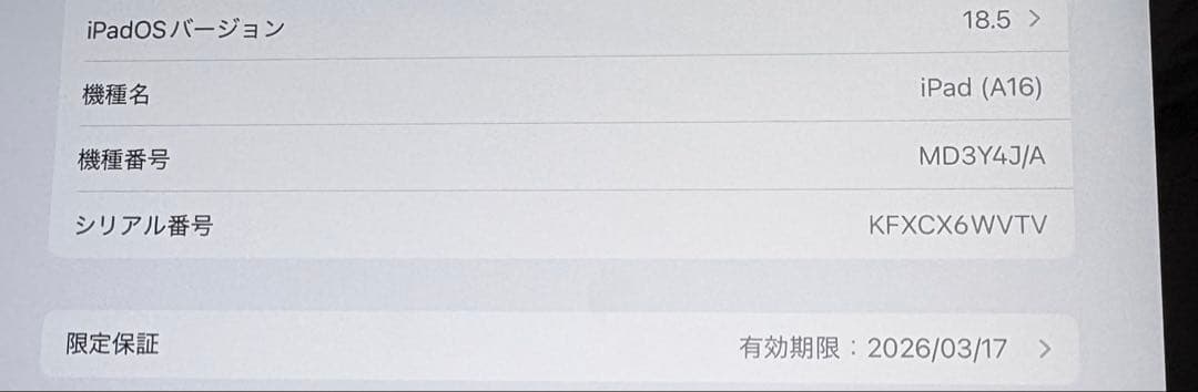 Apple iPad (A16) 第11世代　128GB 本体