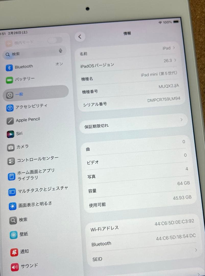 iPad mini5 第5世代 64GB (80) 90%