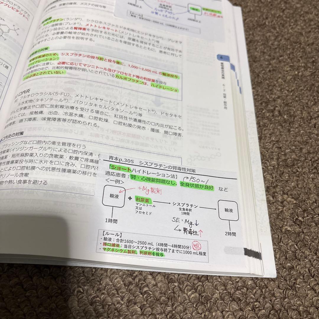 第110回薬剤師国家試験 青本・青問全巻セット 表紙付き
