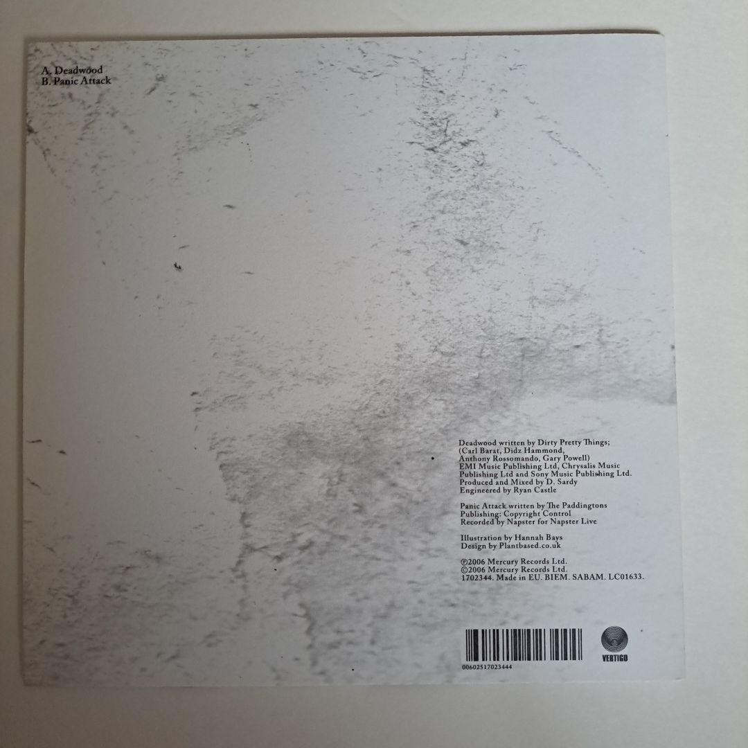 Dirty Pretty Things レコードセット ストロークス