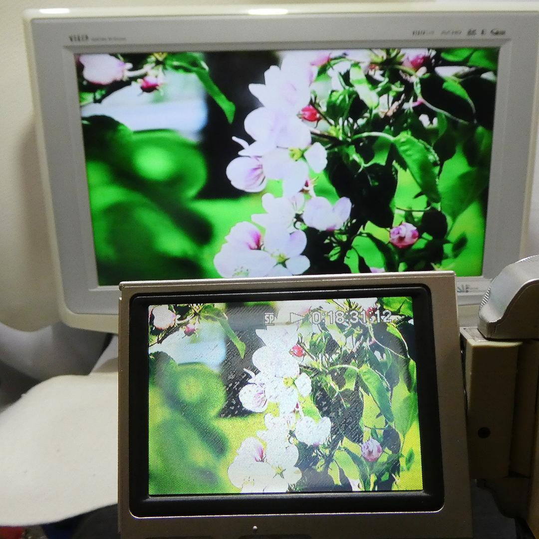 動作品ソニー DCR-TRV10 Mini DVビデオカメラDVDダビングに最適