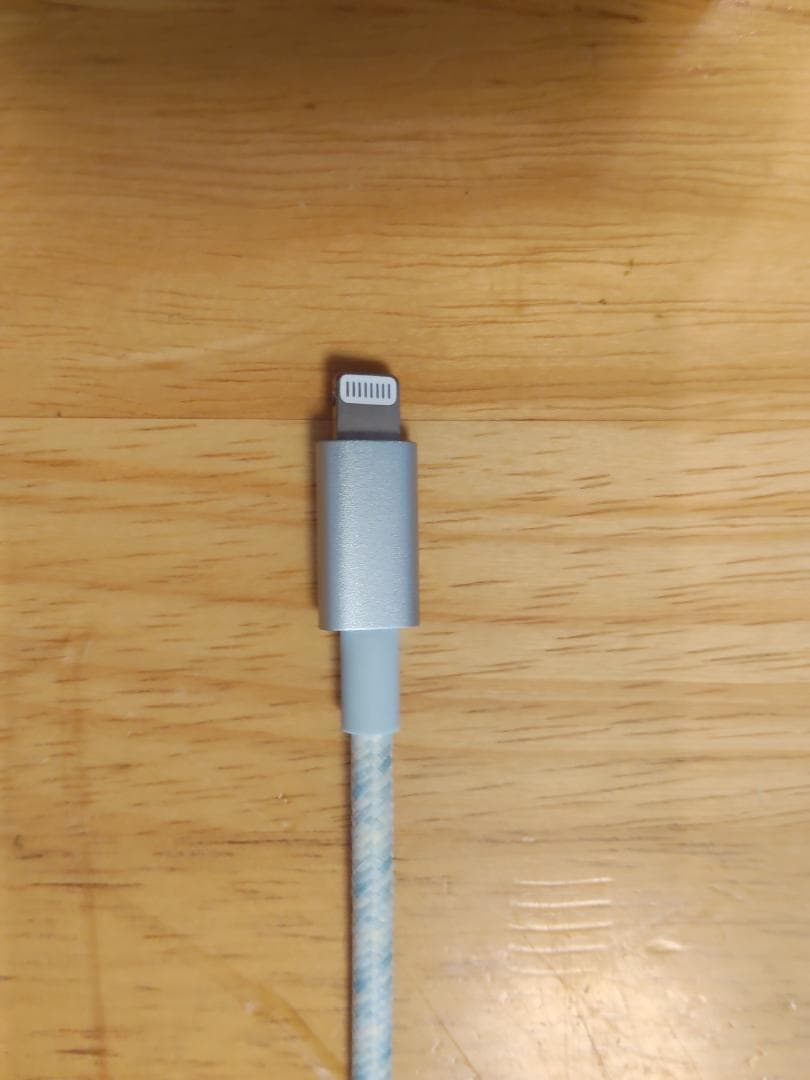 iPad mini4 64GB ゴールド（lightningケーブル・ケース付）