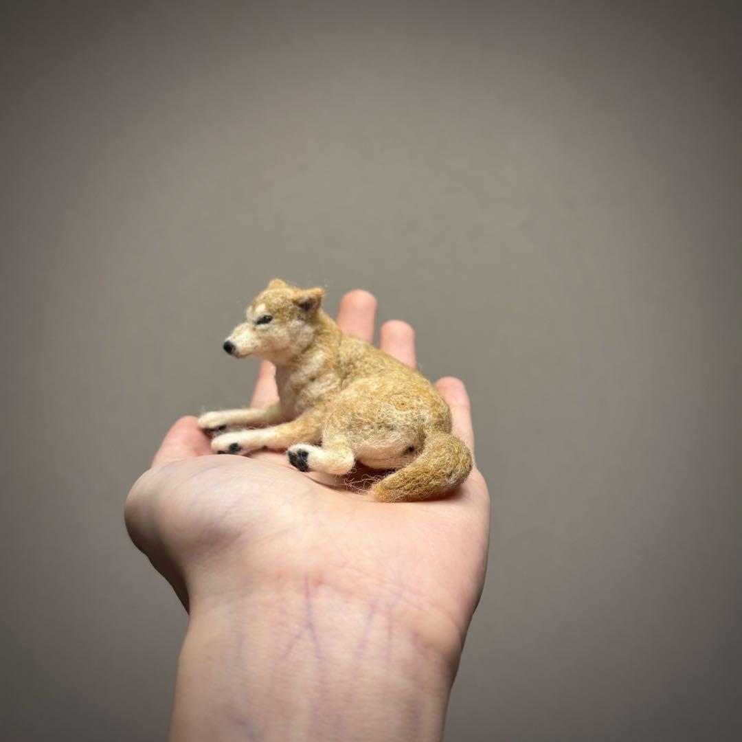 手のひら柴犬
